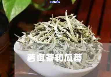 普洱茶与瓜茶：品种、 *** 、功效及口感的全面解析