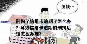 家人被拘留他欠的信用卡怎么办？