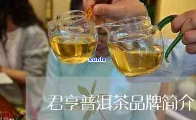 君享普洱茶是真的么-君享普洱茶是真的么还是假的