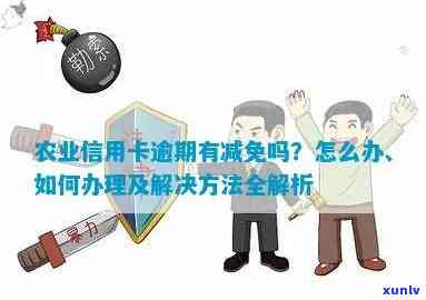 农行信用卡逾期：政策通知缺失吗？