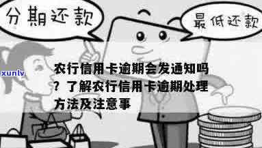 农行信用卡逾期：政策通知缺失吗？