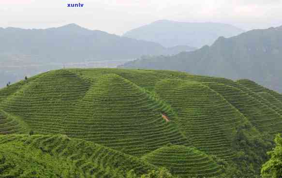 信阳市何家寨俩母风景区独特魅力的山水风光