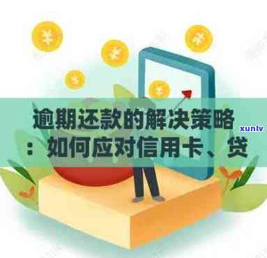 按揭贷款过程中信用卡逾期问题解决策略