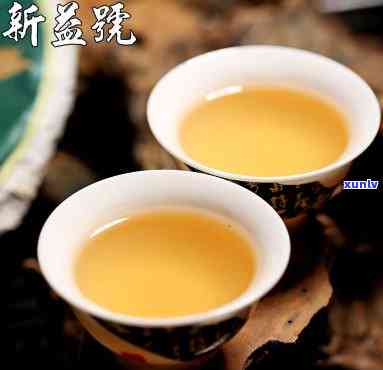 新益号普洱茶：名列前的高品质茶叶之一，带你领略云南古树茶的独特魅力