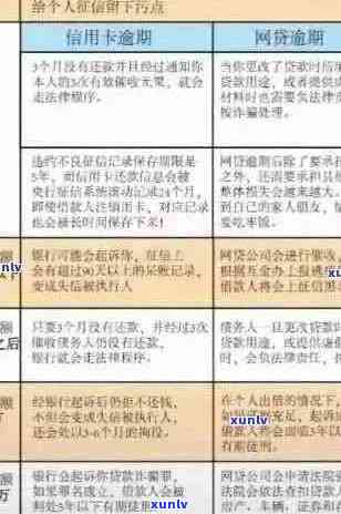 信用卡逾期利息减免政策：全面解读与应对策略