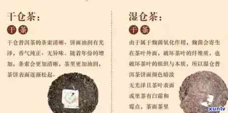 新如何识别普洱茶中的黄曲霉，确保您的食品安全？