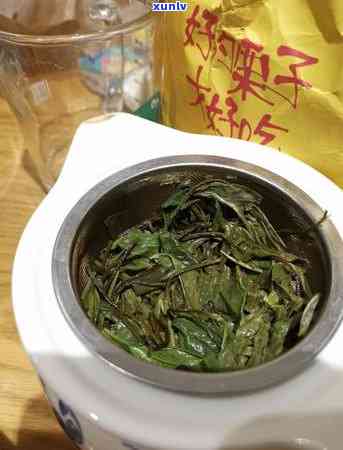 一壶普洱茶：品鉴与饮用的全攻略，让你深入了解普洱茶的魅力与功效