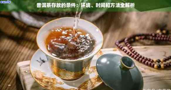 普洱茶存放在一起以及能否混泡的全面解答：了解普洱茶的保存与饮用方式