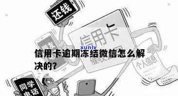 信用卡逾期后微信钱包被冻结怎么办？如何解冻及预防措全面解析