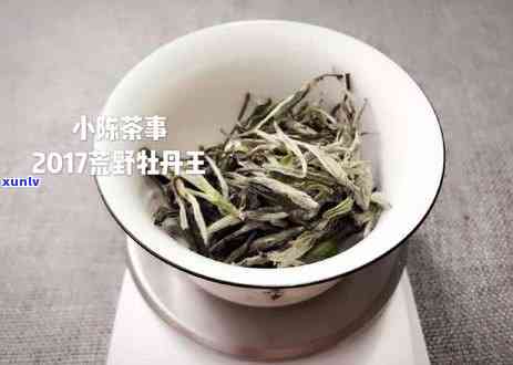 普洱茶不能一直泡吗？为什么普洱茶可以一直泡吗？