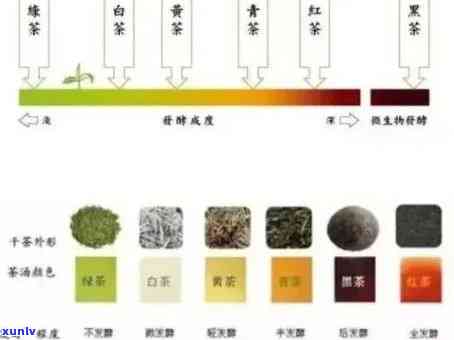 普洱茶颜色变化的奥秘：从青翠到红浓，一次解析！