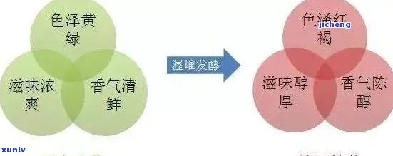 普洱茶颜色变化的奥秘：从青翠到红浓，一次解析！