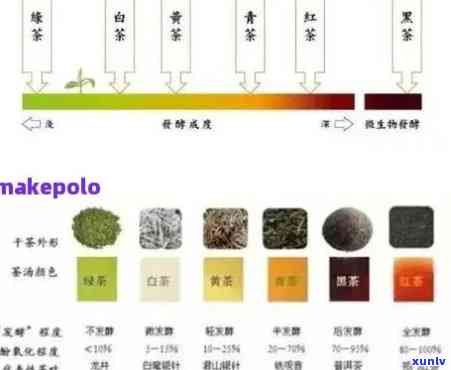 探究普洱茶颜色的奥秘：揭示优劣之间的微妙差别