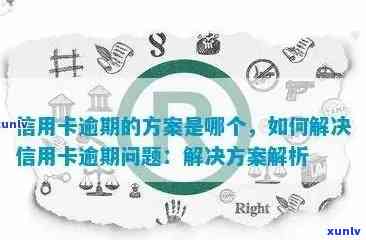 处理逾期信用卡的机构：实用建议与解决方案