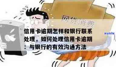 信用卡逾期后，银行会如何处理并联系持卡人？了解详细流程与注意事项