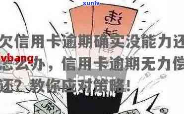 信用卡逾期无力偿还案件怎么处理：有效策略与应对建议