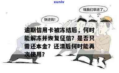 信用卡逾期后被冻结，如何解冻并归还欠款？全面指南解答您的疑问