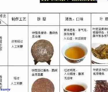 探究普洱茶饼的热量：每克茶叶含有多少卡路里？