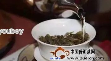 普洱茶的煮泡时间及其频率：一份详细的指南