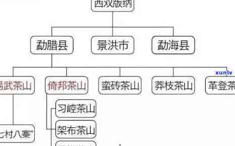 探寻云南普洱茶的核心地带——易武茶区的文化与历