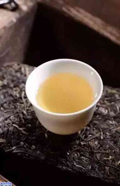 百花潭普洱茶：品种特点、品质鉴别、冲泡技巧与收藏价值全方位解析