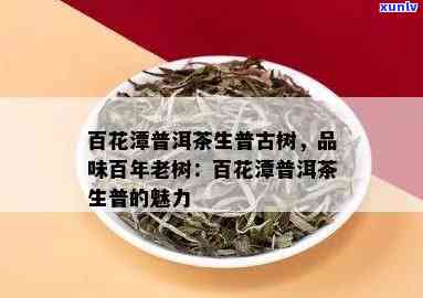 百花潭普洱茶生普古树：云南特色与价格解析