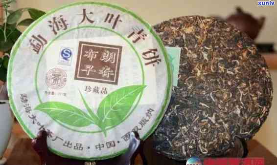 大叶禅普洱茶保质期