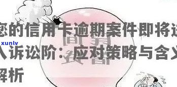 信用卡逾期导致拘留后的影响及应对措：了解您的权益和解决 *** 