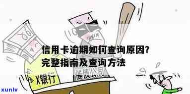 信用卡逾期以后怎么查