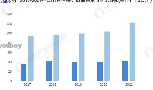 云宏牌普洱茶的价格分析：消费者指南与市场趋势