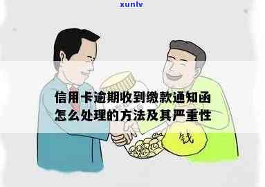 信用卡逾期收到通知函怎么办：处理流程与补救措