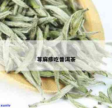 普洱茶荨麻疹-普洱茶荨麻疹可以喝吗