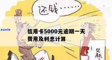 信用卡5000多逾期一天多少钱如何计算逾期费用？