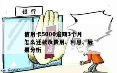 逾期一个月信用卡5000元的利息计算 *** 及影响分析