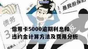 信用卡逾期一年5000元的利息计算方式及相关影响