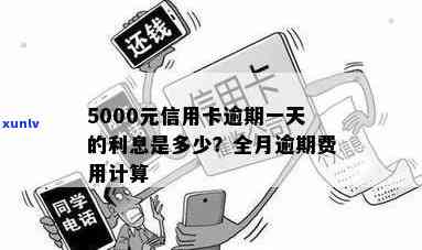 信用卡逾期一年5000元的利息计算方式及相关影响