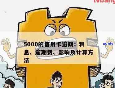 信用卡逾期一年5000元的利息计算方式及相关影响