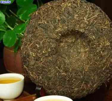 普洱茶中的老茶：品种、品质与功效解析