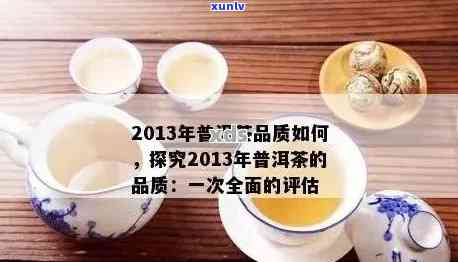 探索普洱茶标：品质、 *** 工艺与品饮 *** 的全面指南