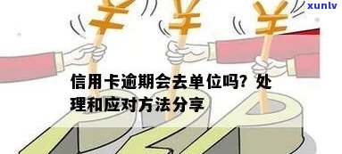 信用卡逾期单位管理及对策：如何应对通报处理