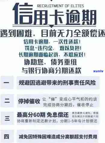 关于建行信用卡逾期费用减免政策的全面解析，如何避免逾期产生的额外费用？