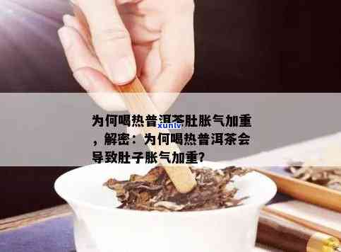 普洱茶：胀气原因解析与饮用技巧