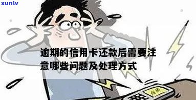 老虎翡翠手串价格多少：如何选择和购买最合适的翡翠手串？