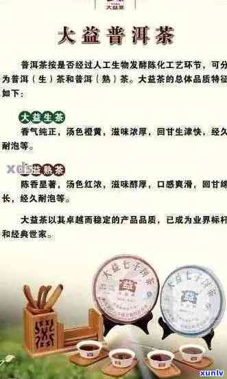 全面评价：银大益普洱茶品质、口感、价格及选购指南，解答用户疑问