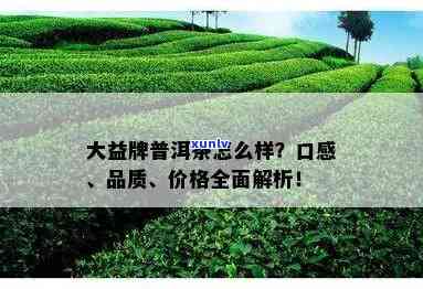 全面评价：银大益普洱茶品质、口感、价格及选购指南，解答用户疑问