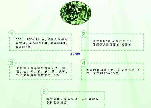 螺旋藻茶的健益处：如何正确饮用以达到效果