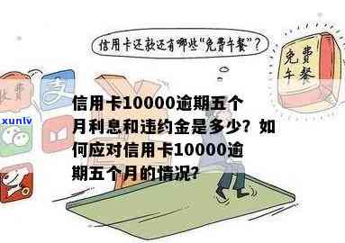 信用卡逾期还款5年：现在是否仍有机会偿还10000元欠款？