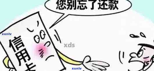 负债率高，但信用记录无逾期：如何解决信贷难题？