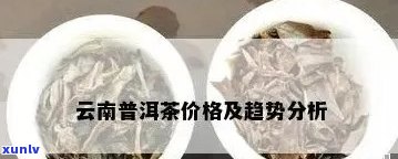 云南阳春三月普洱茶价格多少：探究当前市场行情与品质