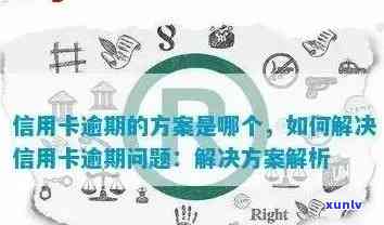 信用卡逾期问题全方位解决指南：寻找专业机构助您化解困境